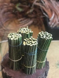 12 Black Willow Cuttings Salix Nigra Unrooted for Bonsai and Ornamental Trees