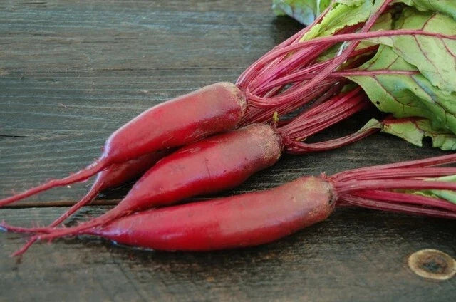 Cylindra Long Red Beet Seeds 50-4800 Count Sweet & Delicious Beta vulgaris Var. Cylindra