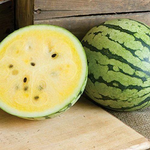 Yellow Petite Watermelon Seeds | Heirloom Non-GMO Variety | Citrullus lanatus | Free Shipping