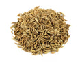 Cumin Herb Seeds 250+ Fresh Seeds Cuminum cyminum Culinary Spice Gardening