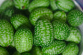 Cucamelon Seeds - 30 Sour Gherkin Seeds - Melothria Scabra - Rare Mini Mouse Melon Variety