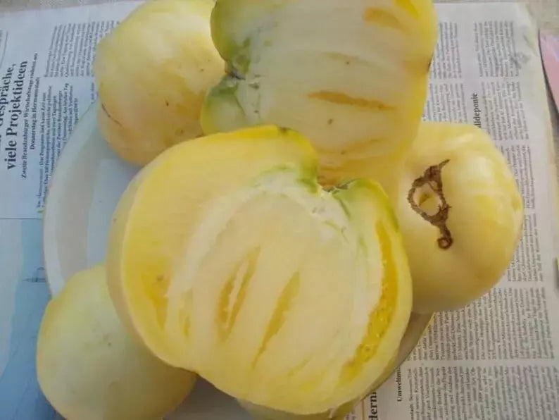Great White Tomato Seeds - 120+ Heirloom Organic Beefsteak Variety - RARE - Non-GMO