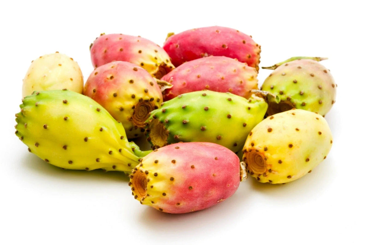 Cactus Pear Seeds - 10 Count - Opuntia ficus-indica - Edible Fruit - US Seller - Free Shipping