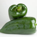 Poblano Pepper Seeds | Heirloom Non-GMO | Vegetable Seeds for Garden | Capsicum annuum
