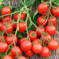 Non-GMO Small Red Cherry Tomato Seeds - Bulk Garden Salad Variety - Perfect for Home Gardening, Heirloom Quality