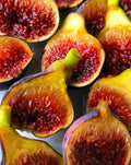 Fignomenal Fig Plant - Edible Variety - Ficus carica - Perfect for Home Gardens