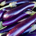 Long Purple Eggplant Seeds - 100 Non-GMO Heirloom Seeds for Home Gardening - Solanum melongena