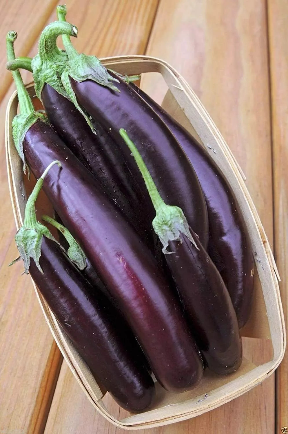 Long Purple Eggplant Seeds - 250 Non-GMO Heirloom Seeds for Planting - Exotic Vegetable Variety