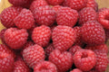 Nova Red Raspberry Plant Starter - Live Rooted - Mid-Summer Bearing - Rubus idaeus - Zones 3-8 - Medium to Large Berries