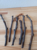 Dwarf Black Mission Fig Cuttings for Planting – 6 Unrooted Ficus carica Cuttings, Fruit Tree Propagation