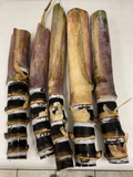 Soft Chew Black Sugarcane Cuttings, Saccharum officinarum Unrooted Cane for Garden or Container Growing