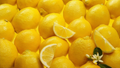 Meyer Lemon Scion Cuttings – 4 Unrooted Citrus meyeri Cuttings 4–6 Inch for Rooting or Grafting