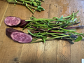 10 Molokai Purple Sweet Potato Slips – Japanese Purple Variety, Live Cuttings for Planting & Garden Growing