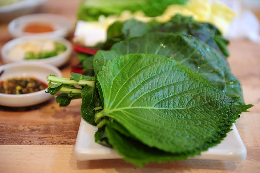 400 Seeds Perilla (Shiso), Korean Perilla Herb for Planting – Aromatic, Versatile Asian Herb for Sushi, Garnishes, Stir-Fries & More
